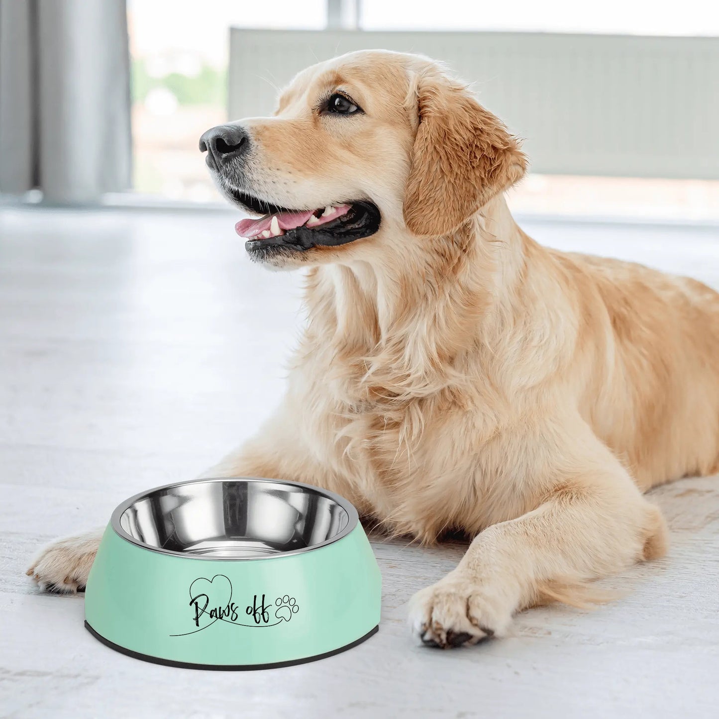 Stainless Steel Pet Bowl Paws Off