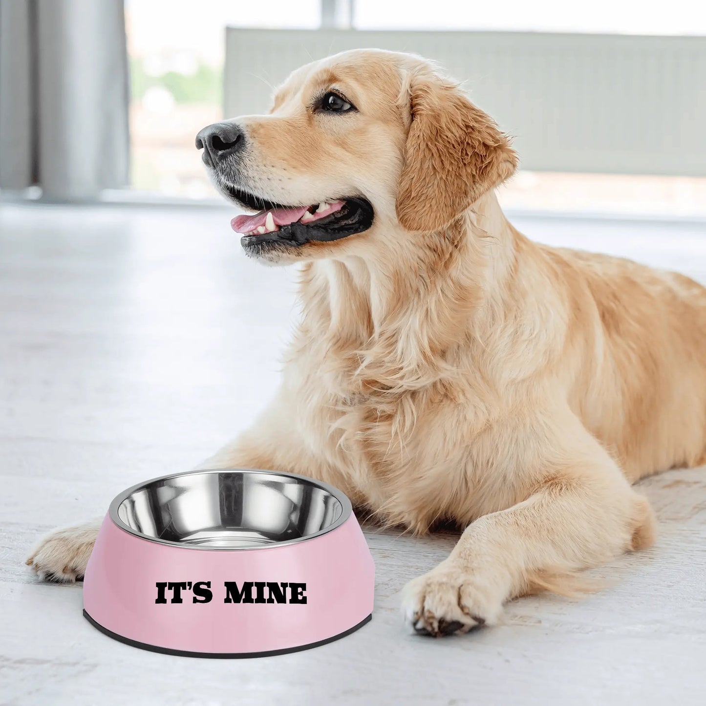 Dog Bowl Pet Bowl Stainless Steel Its Mine