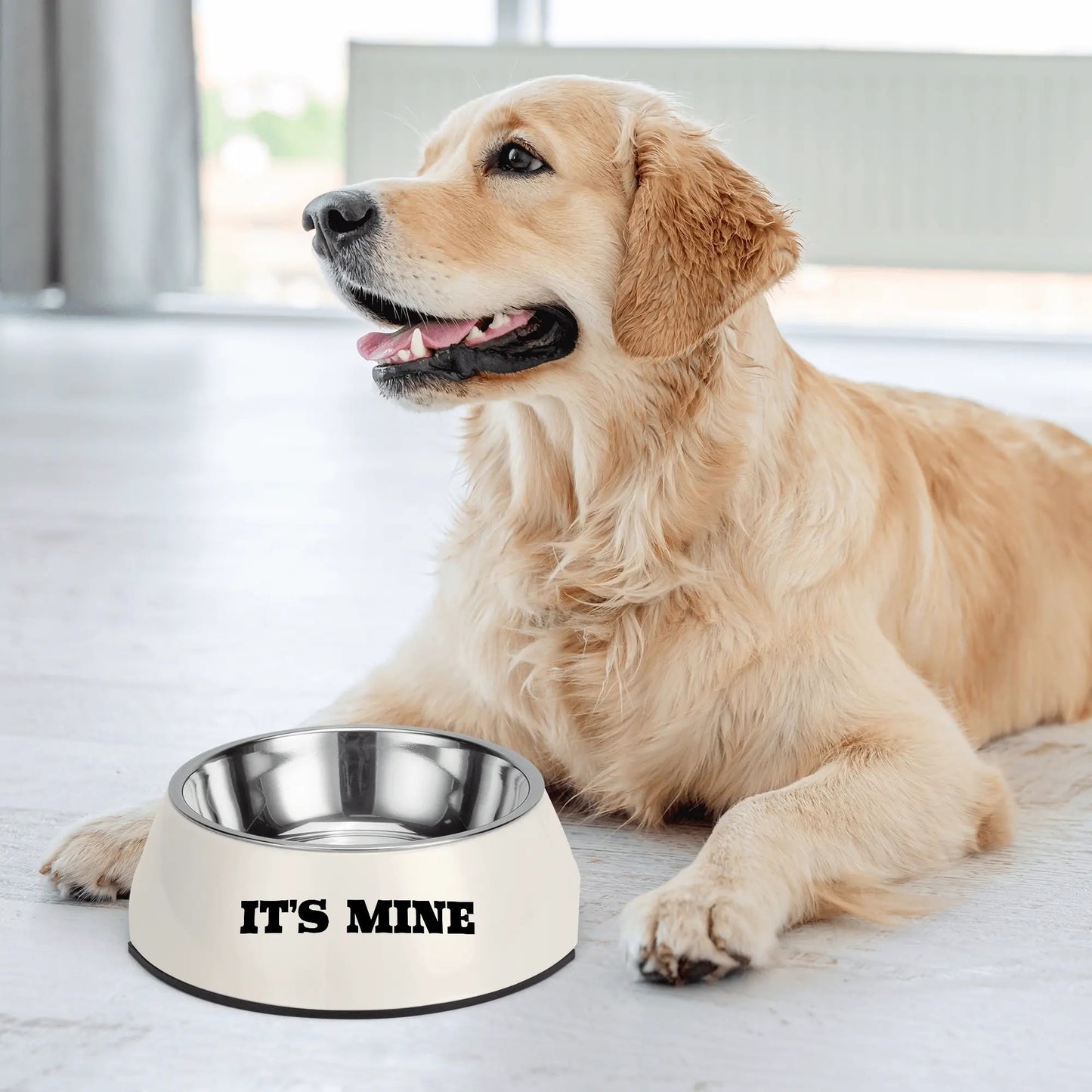 Dog Bowl Pet Bowl Stainless Steel Its Mine