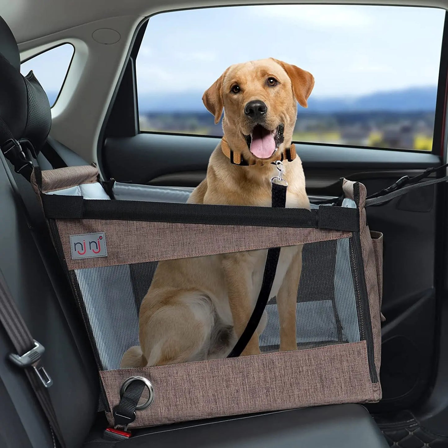 Travel Pet Carseat