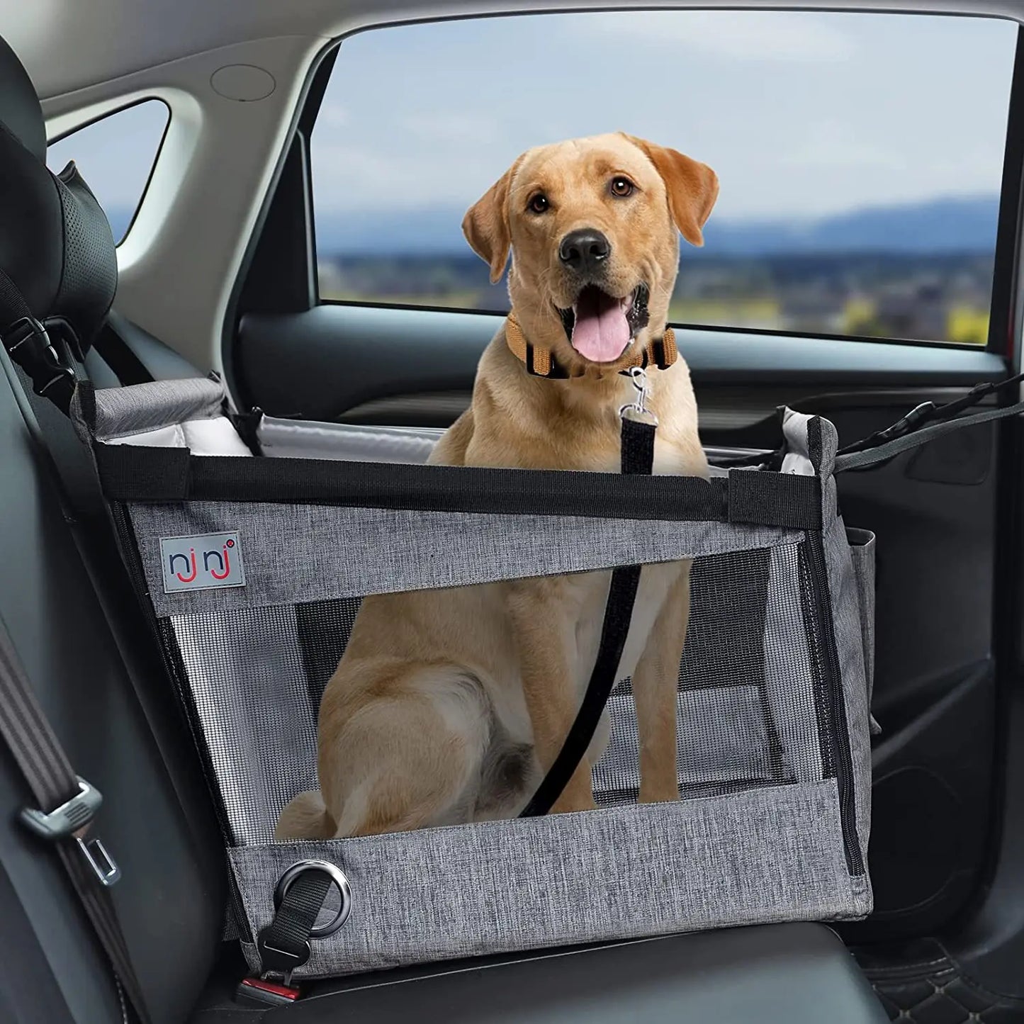 Travel Pet Carseat